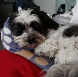 Meet your Posher, Scott